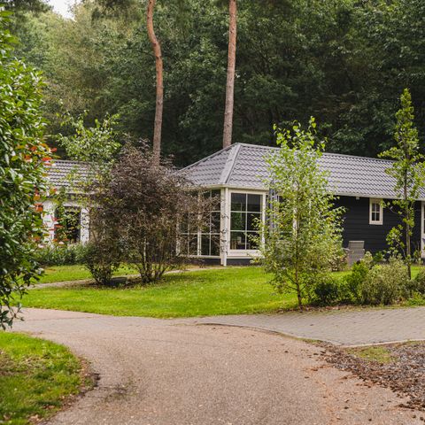 MAISON 6 personnes - Bergeronnette des ruisseaux C29