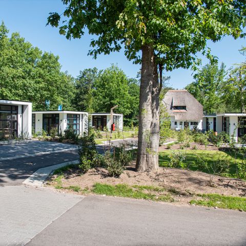 TopParken Recreatiepark Beekbergen - Camping Apeldoorn - Image N°4