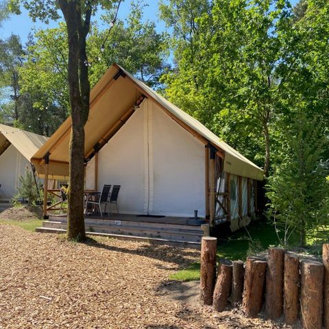 TENTE 4 personnes - Glamping de luxe