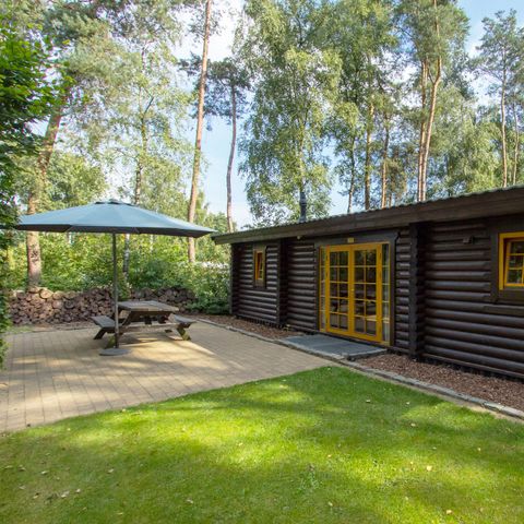CHALET 4 personnes - Boekhorst