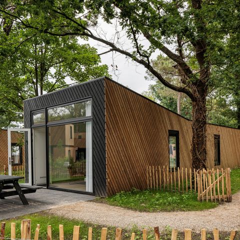 LODGE 6 personnes - Animaux de la cabane forestière