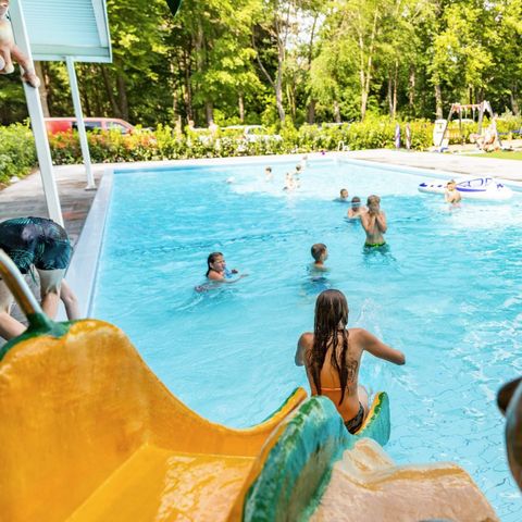 Vakantiepark De Ossenberg - Camping Utrechtse Heuvelrug - Image N°2
