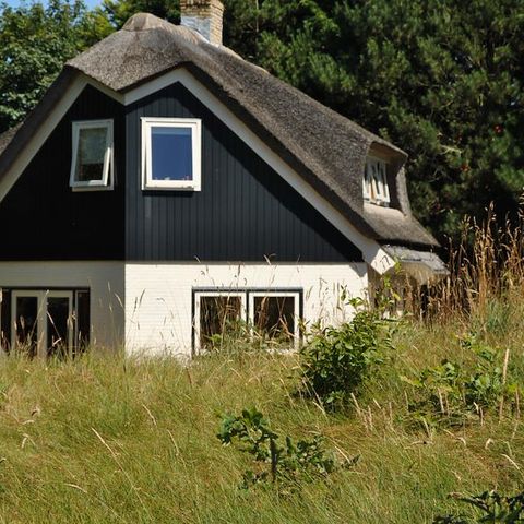 MAISON 8 personnes - Maison de la dune De Bosuil