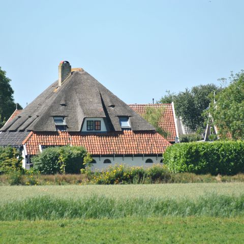 Pelikaan Vakantiewoningen Texel - Camping Texel - Image N°5