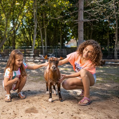 Center Parcs Park De Haan - Flandre Occidentale - Image N°6