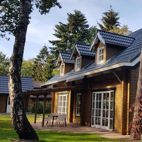 MAISON 14 personnes - Chouette hulotte