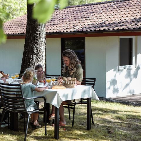 Ferienpark Grafschaft Bentheim - Camping Basse-saxe - Image N°2