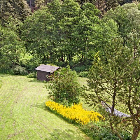 Sonnenhof Willingen - Hesse - Image N°6