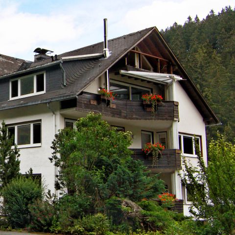 Sonnenhof Willingen - Hesse - Image N°3