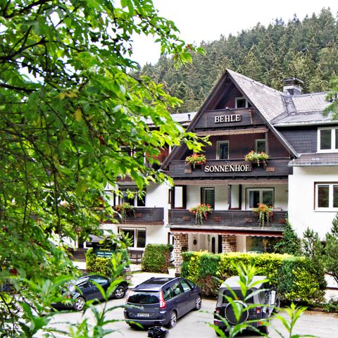 Sonnenhof Willingen - Hesse - Image N°4