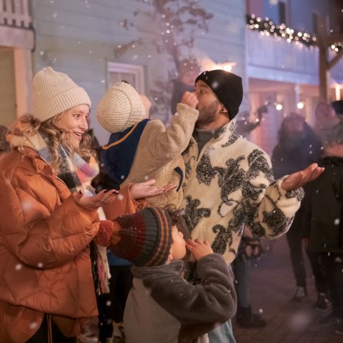 Familie Resort Molenwaard - Molenlanden - Image N°4