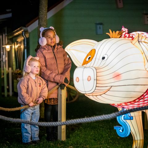 Familie Resort Molenwaard - Molenlanden - Image N°5