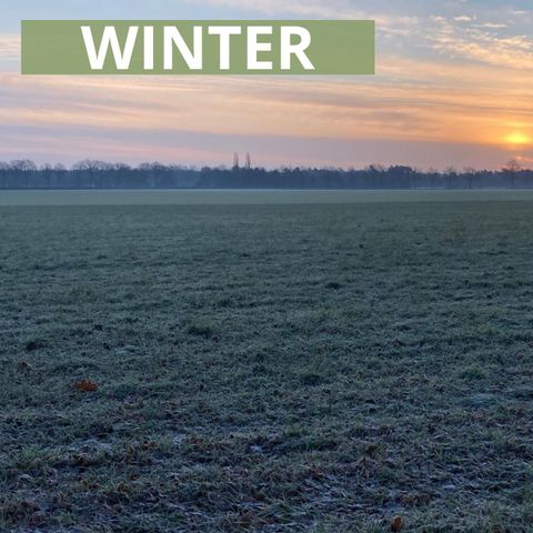 BUNGALOW 6 personnes - Hiver Panoramique Bécassine Étang à poissons