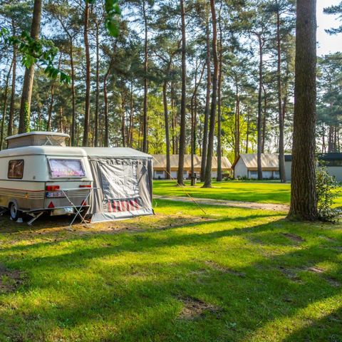 Emplacement - Confort