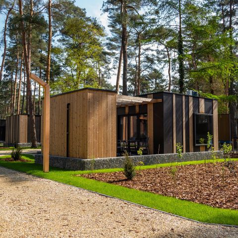 GÎTE 4 personnes - Cottage Forest