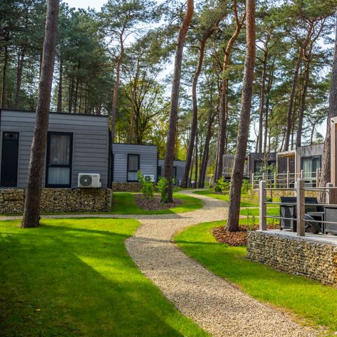 CHALET 4 personnes - Chalet Lieteberg