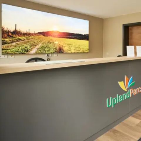 UplandParcs Winterberg - Camping Rhénanie du Nord-Westphalie - Image N°6