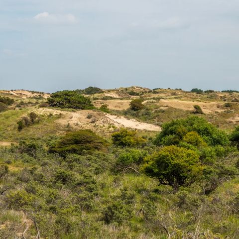 EuroParcs Noordwijkse Duinen - Noordwijk - Image N°3
