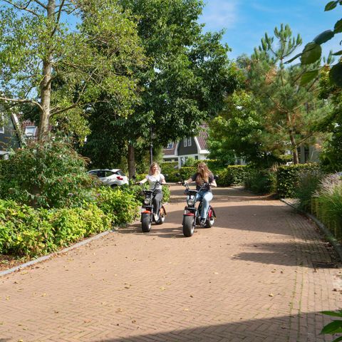 MAISON 4 personnes - Jacuzzi de Koningshoeve