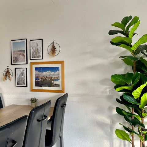 BUNGALOW 6 personnes - Sauna Waterhouse