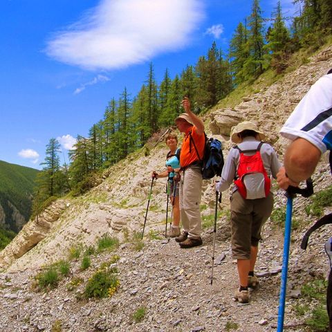 FranceComfort Villa's du Verdon - Alpes-de-Haute-Provence - Image N°6