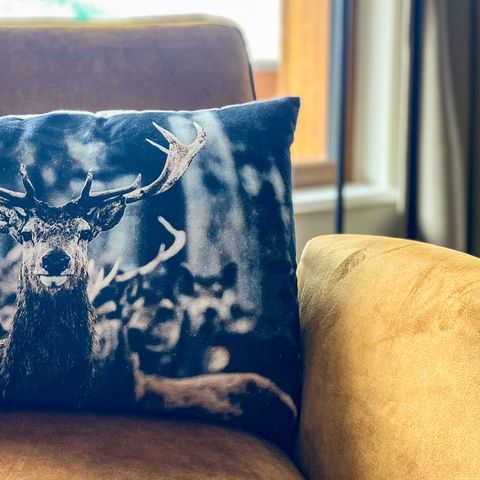 APPARTEMENT 4 personnes - A1 Luxe près d'une station de ski