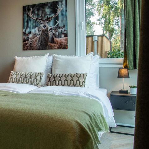 MAISON 4 personnes - Ferme de Veluwe