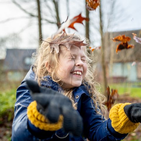 Landal PUUR Exloo - Borger-Odoorn - Image N°5