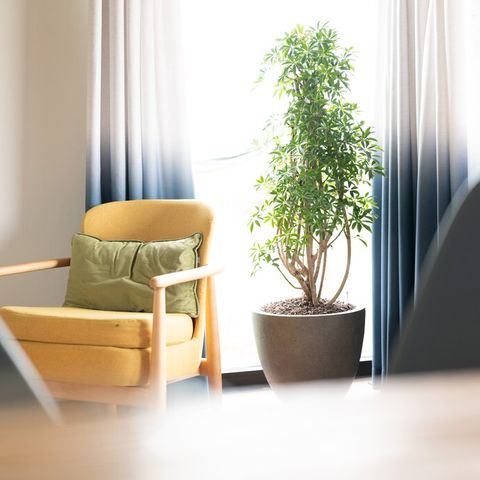 LODGE 4 personnes - Aventure à marée haute