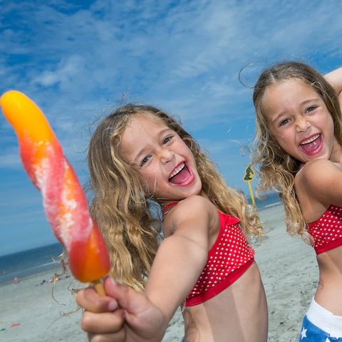 Landal Camping De Zandput - Veere - Image N°5