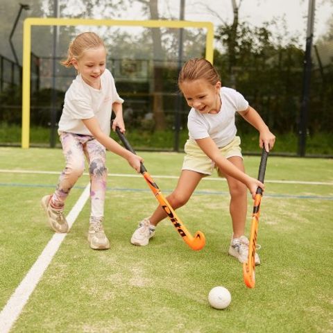 Brinckerduyn - Ooststellingwerf - Image N°4