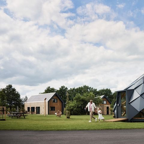 Brinckerduyn - Camping Ooststellingwerf - Image N°2