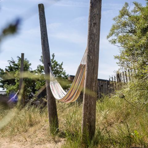 Landal Bloemendaal aan Zee - Bloemendaal - Image N°5