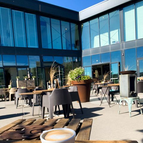 Landal Bloemendaal aan Zee - Bloemendaal - Image N°5