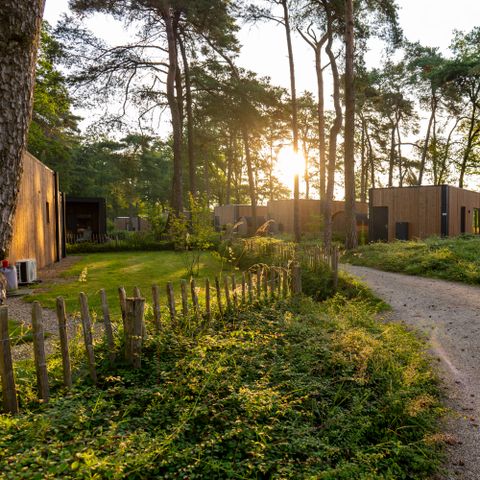 LODGE 2 personnes - Forest Lodge Royal