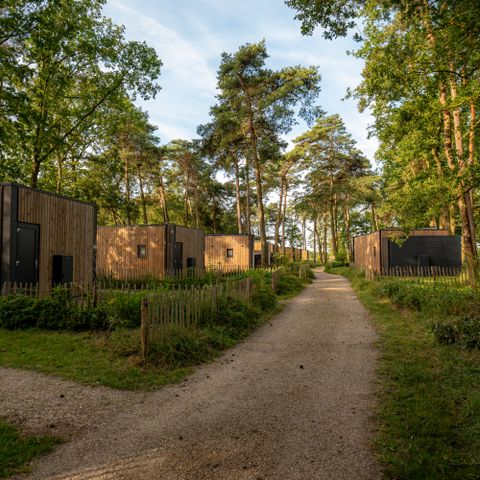 LODGE 2 personnes - Forest Lodge Royal avec sauna