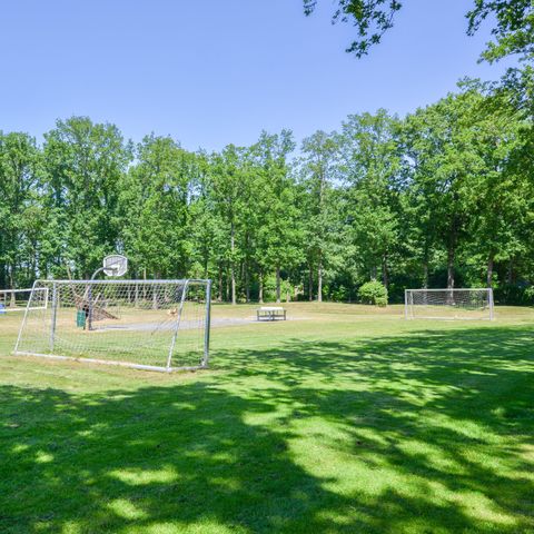 Park Drentheland - Camping Westerveld - Image N°4