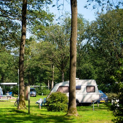 Emplacement - Confort