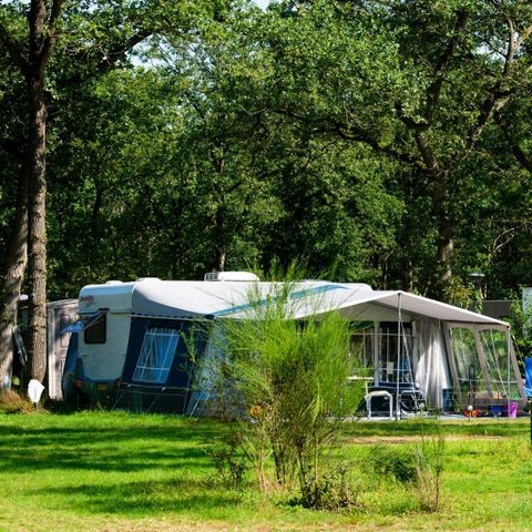 Emplacement - Confort