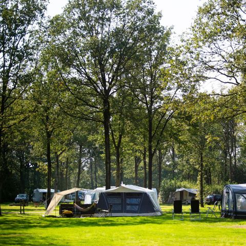 Emplacement - Confort