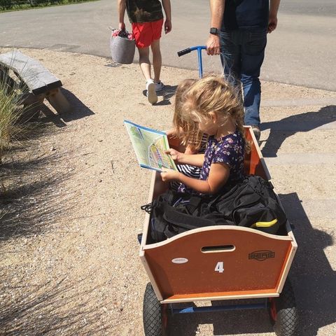 LODGE 6 personnes - Zonneweelde XL