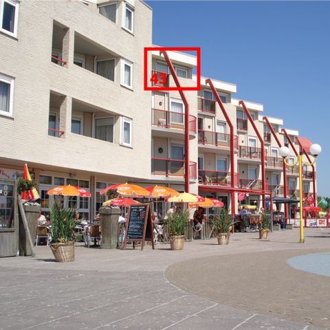 Appartement 4 personnes - Zuiderzee State Deluxe Pet-friendly