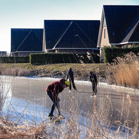 Beach Resort Makkum - Camping Súdwest-Fryslân - Image N°4