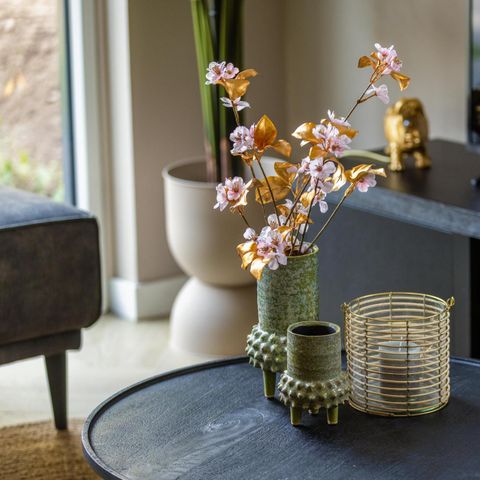 BUNGALOW 6 personnes - Ecovilla Waterzicht