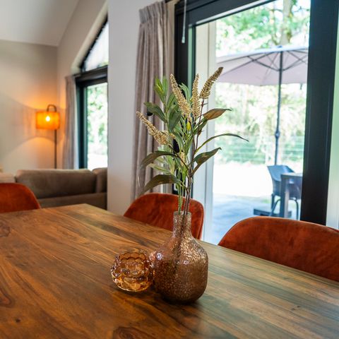 MAISON 6 personnes - Ecovilla Waterzicht Luxe