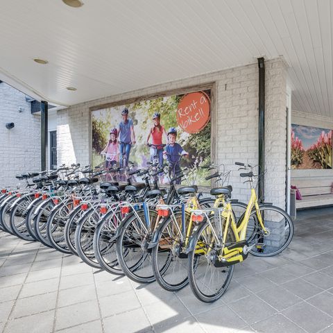 Bungalowpark Het Verscholen Dorp - Harderwijk - Image N°6