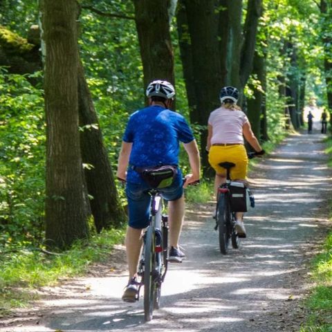 Urban Gardens Gent - Flandre orientale - Image N°3