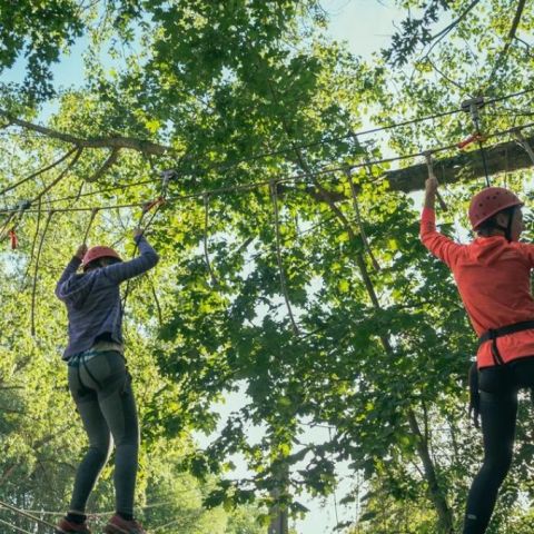 Urban Gardens Gent - Flandre orientale - Image N°4