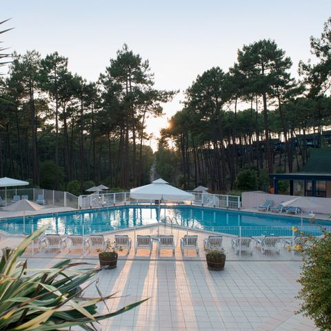 SOWELL - Domaine Les Cavales - Gironde - Image N°6