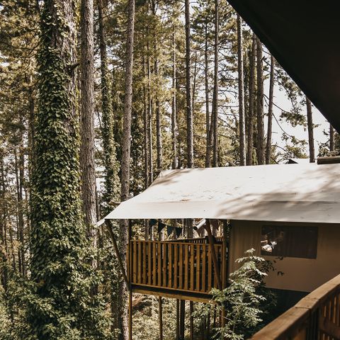 Tente en toile et en bois 4 personnes - y compris les installations sanitaires